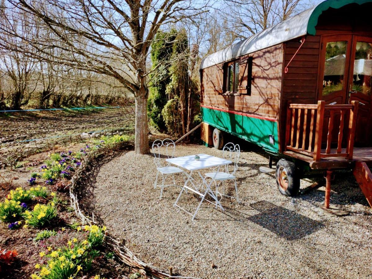 Domaine De La Carrauterie By Terre Insolite Sautin المظهر الخارجي الصورة