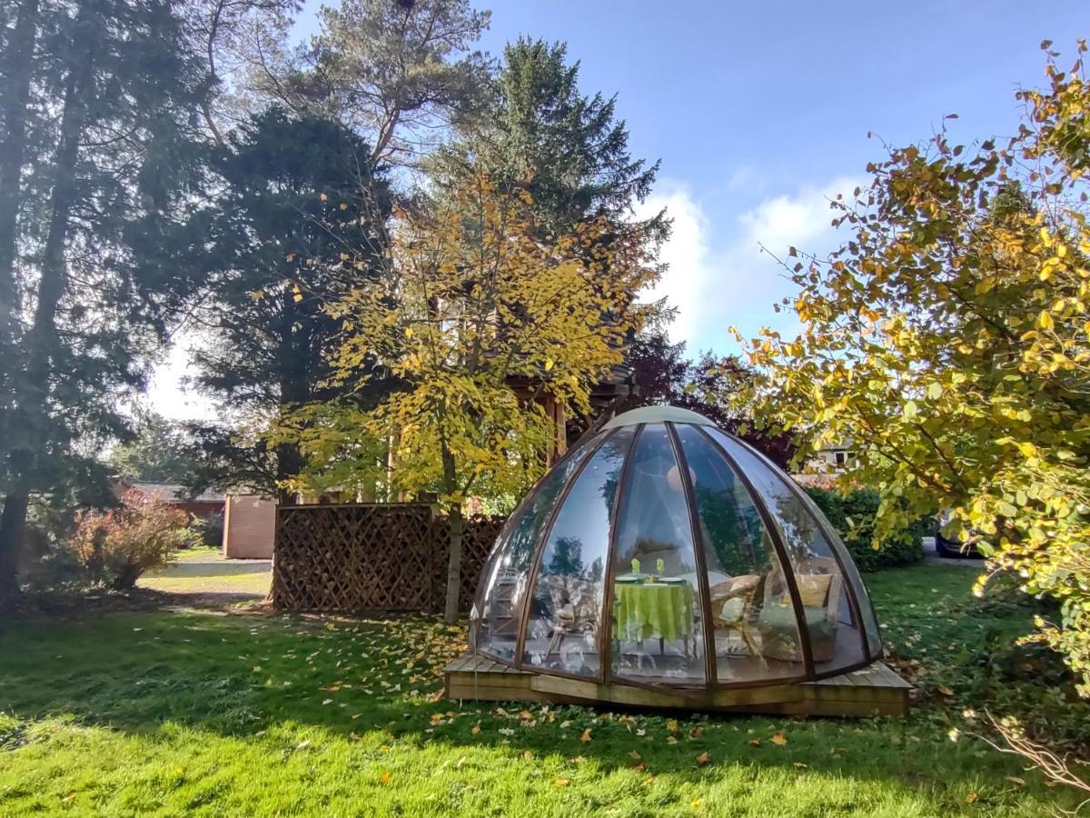Domaine De La Carrauterie By Terre Insolite Sautin المظهر الخارجي الصورة